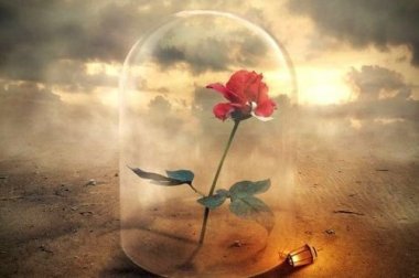 Le anime più forti sorgono dalle ceneri della sofferenza