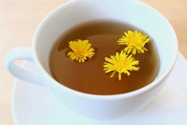 Tisana dente di leone