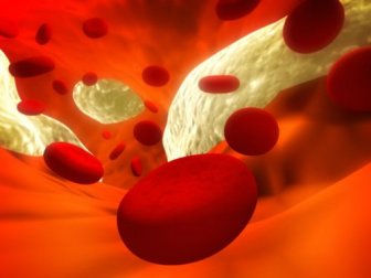 9 alimenti per pulire arterie e vene