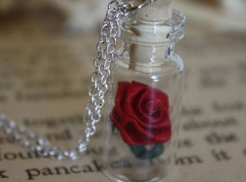 rosa sotto vetro