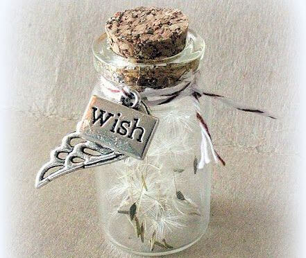 wish