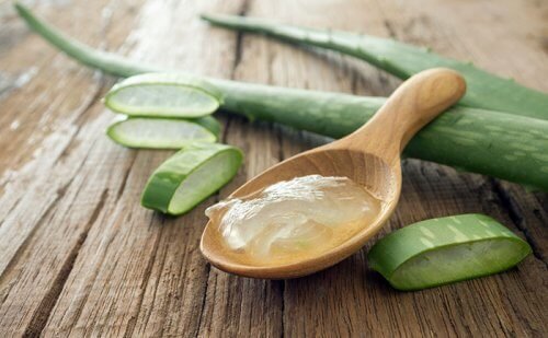 Gel di aloe vera
