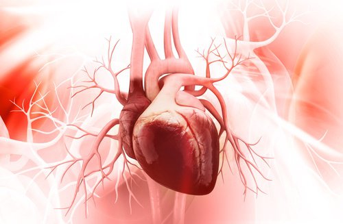 3 semplici mosse per una migliore salute cardiovascolare