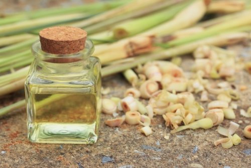 olio di citronella