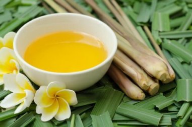 Olio di citronella: un ottimo repellente per gli insetti