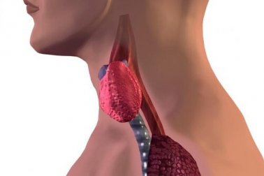 Come capire se si hanno complicazioni alla tiroide