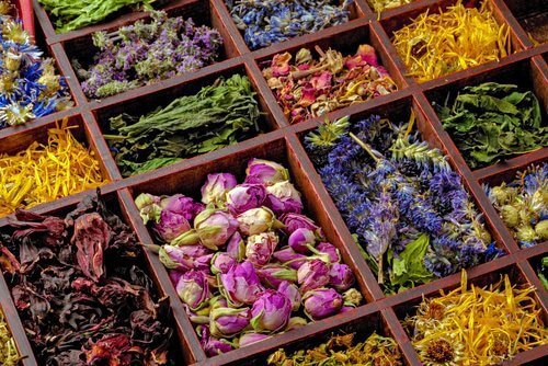 essiccare le erbe nel forno a microonde