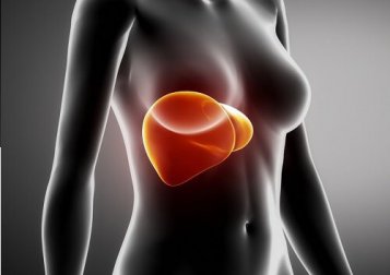 7 incredibili consigli per prendersi cura del fegato