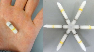 Creata capsula che tratta diverse malattie durante mesi