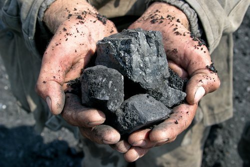 carbone-per-il-giardino sorprendenti usi del carbone
