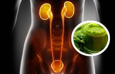 Frullati diuretici: 2 ricette per depurare i reni