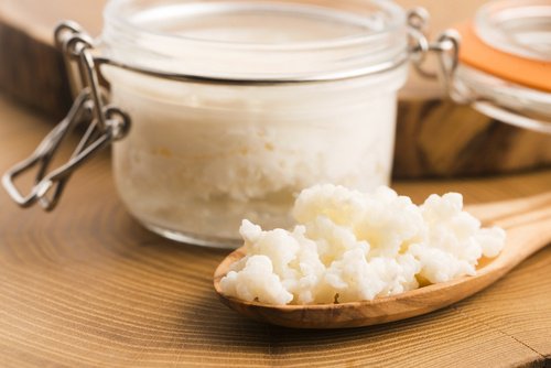 fermenti-lattici-vivi