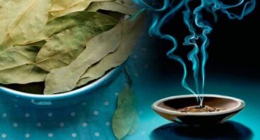 L’alloro: un rimedio millenario per combattere l’ansia