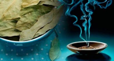 L’alloro: un rimedio millenario per combattere l’ansia