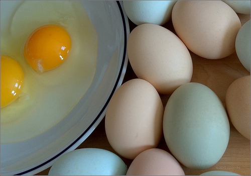 uova bianche e uova scocciate in terrina