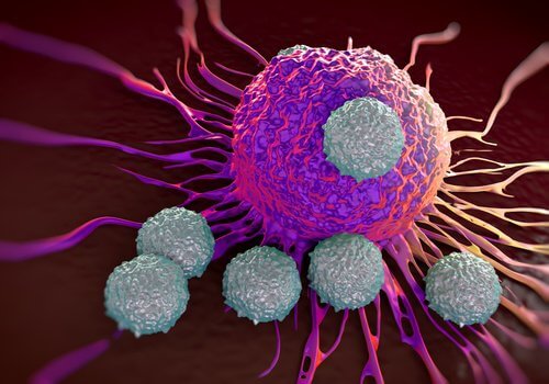 cellule-cancerogene