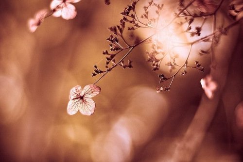 quando ci trattano male