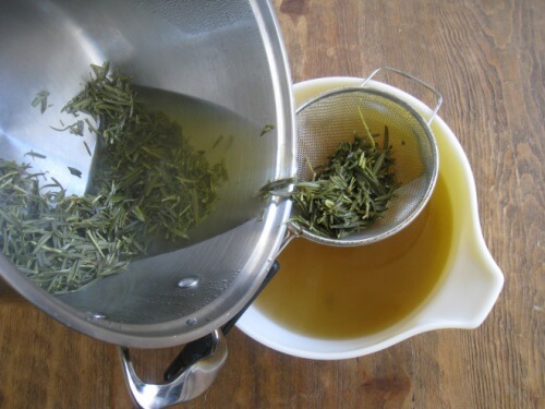 rimedio al rosmarino e ippocastano contro i dolori articolari