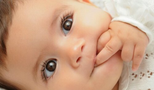 neonato-occhi-marroni