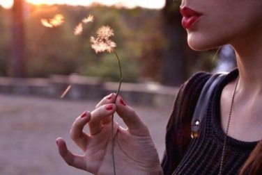 Le 3 leggi della vita: vivere, amare e parlare