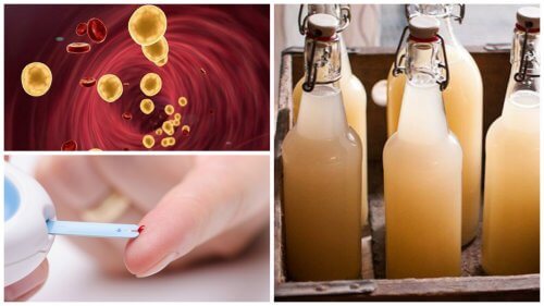 Birra allo zenzero per ridurre il colesterolo e i livelli di zucchero nel sangue Birra allo zenzero per ridurre il colesterolo e i livelli di zucchero nel sangue