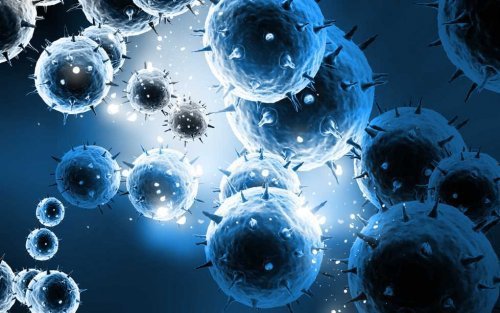 Cellule cancerogene