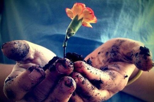 L'amore va coltivato perché fiorisca ogni giorno