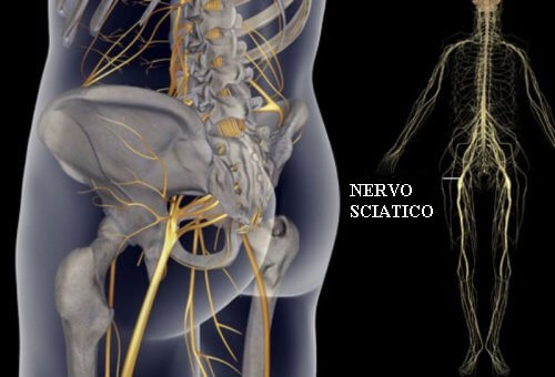 Esercizi per dolori al nervo sciatico, bacino e schiena
