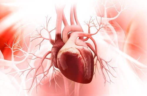 il succo di mirtillo migliora la salute cardiovascolare