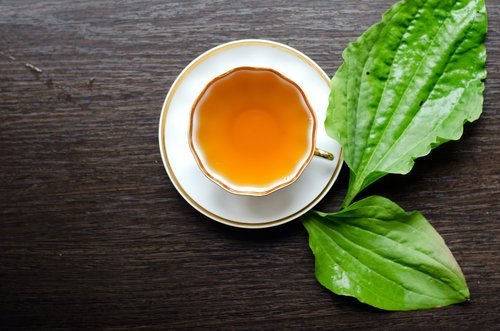 infuso di erbe lassative