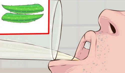 Come trattare il diabete con l’aloe vera Come trattare il diabete con l’aloe vera