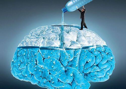 Effetti dell’acqua sul cervello: eccone 5