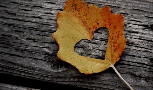 Foglia a forma di cuore