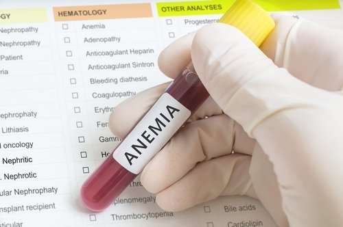 fialetta anemia