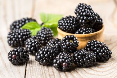 Mora, 7 fantastici benefici per la tua salute