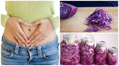 Il cavolo viola per migliorare la flora intestinale