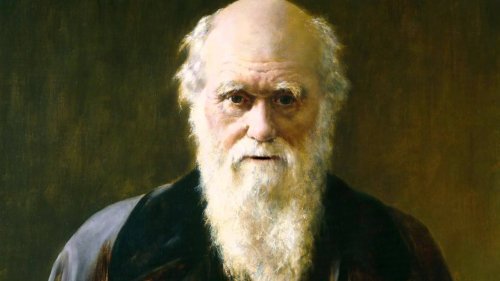 Darwin e l'evoluzione