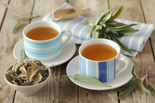 Due tazze con infuso di salvia
