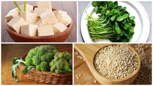 Alimenti di origine vegetale ricchi di proteine