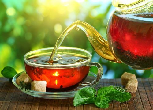 infuso osteoporosi