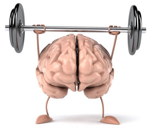 Consigli per mantenere in salute il cervello Consigli per mantenere in salute il cervello