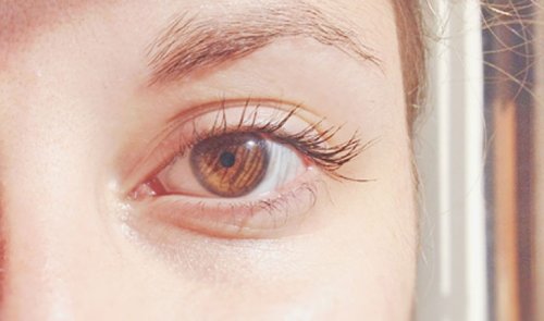 occhio di colore marrone