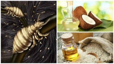 Combattere efficacemente i pidocchi grazie a 5 rimedi naturali