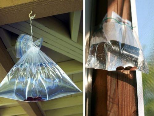 allontanare le mosche