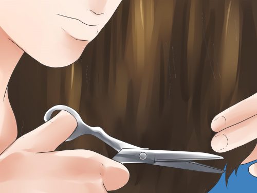 5 miti sul corpo umano da sfatare 5 miti sul corpo umano da sfatare