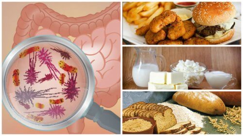 Alimenti che danno problemi all’intestino, eccone 7