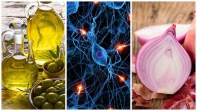 8 alimenti che aiutano a mantenere sano il cervello