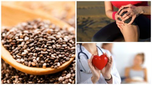 9 interessanti benefici dei semi di chia 9 interessanti benefici dei semi di chia