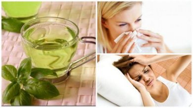 8 benefici del tè al basilico: ecco perché berlo