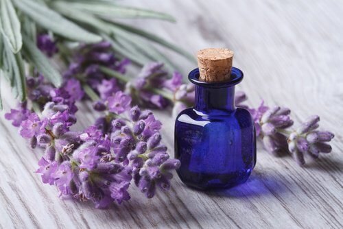 Fiori di lavanda e boccetta di vetro blu